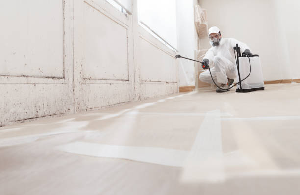 24/7 Emergency Mold Removal experts in Newfoundland, NJ